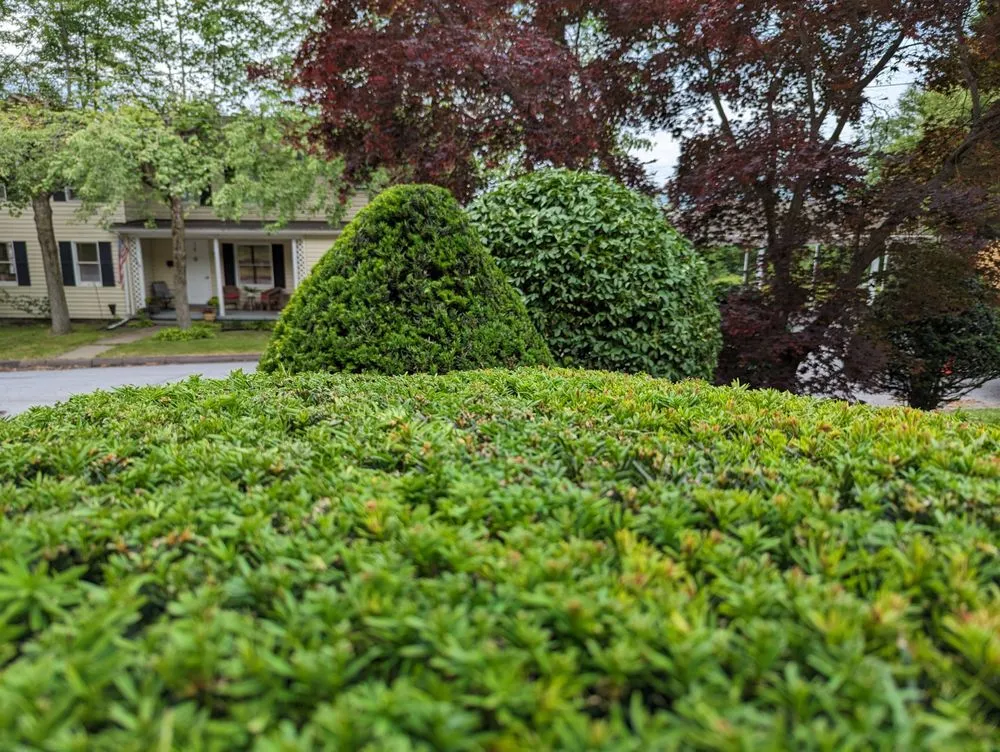 Local yard maintenance experts serving Wilkes Barre, PA - Smile Lawn Care & Landscapers