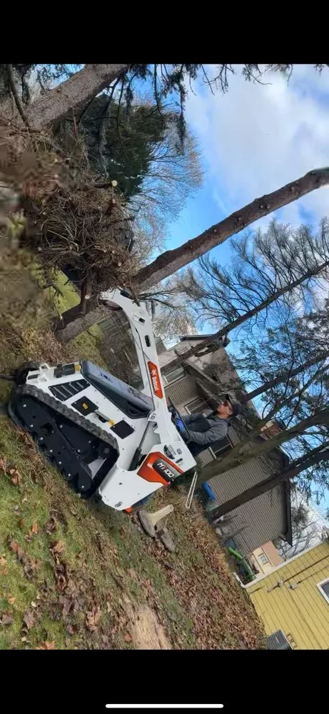 Affordable lawn care service in Lake in the Hills, IL by Smile Property Maintenance