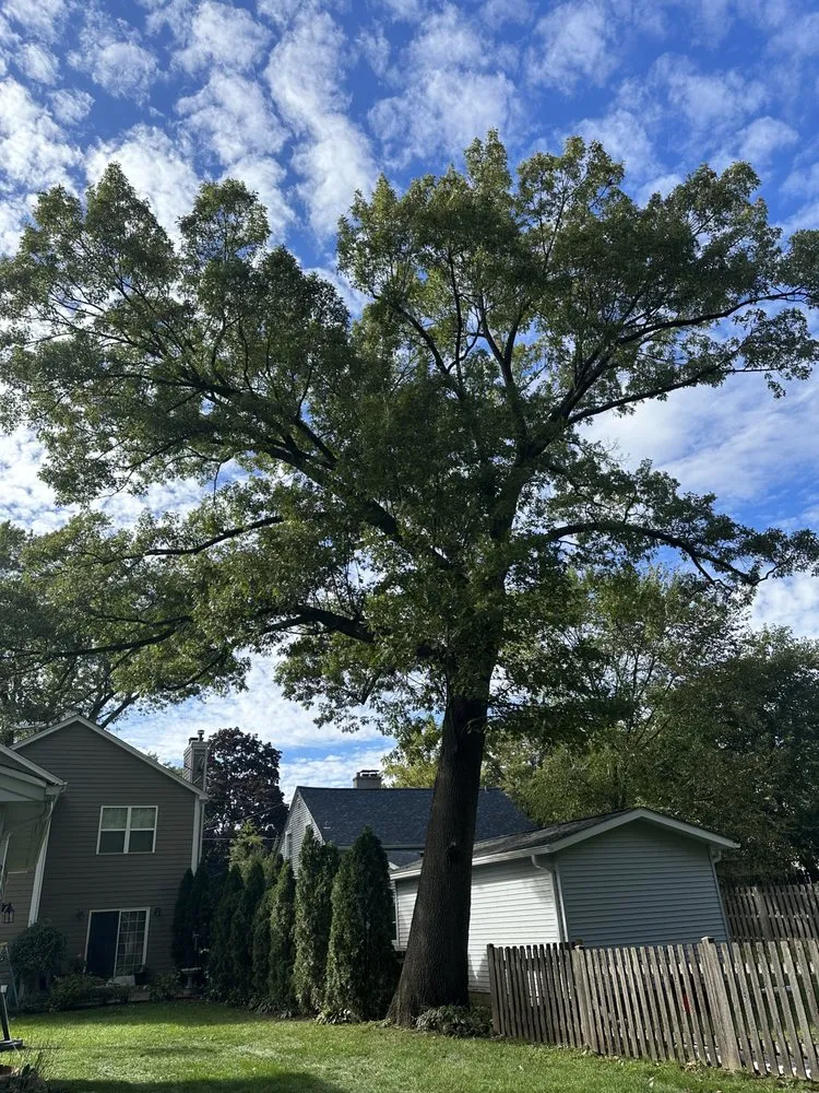 Local outdoor landscaping experts serving Lake in the Hills, IL - Smile Property Maintenance