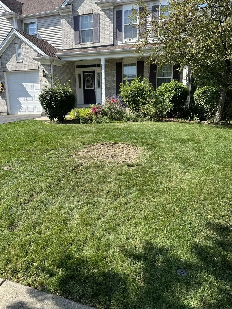 Top-rated landscape installation experts serving Lake in the Hills, IL - Smile Property Maintenance