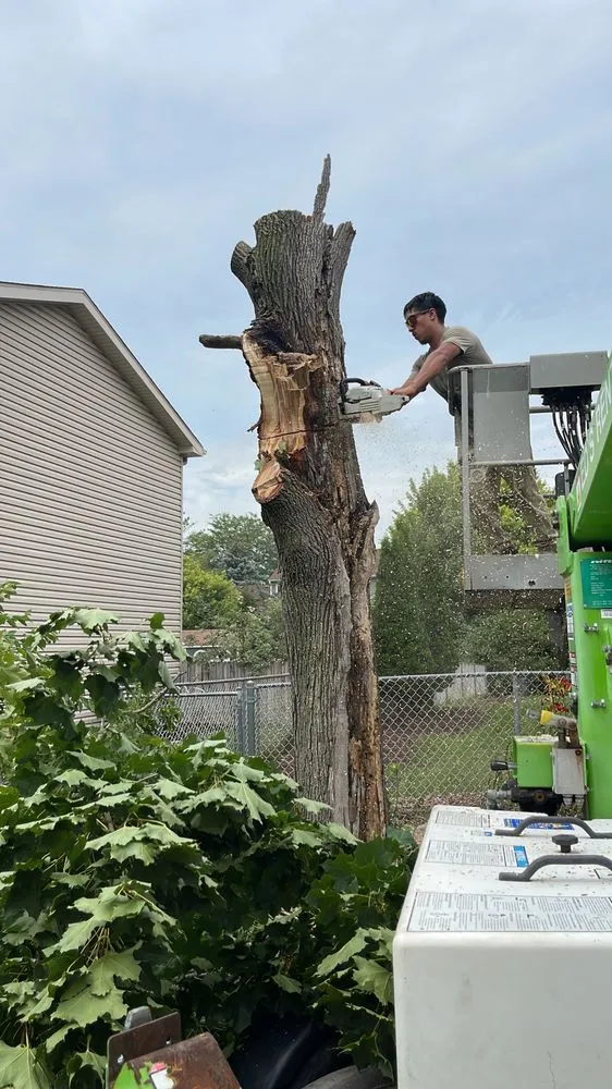 Local residential landscaping in Lake in the Hills, IL by Smile Property Maintenance