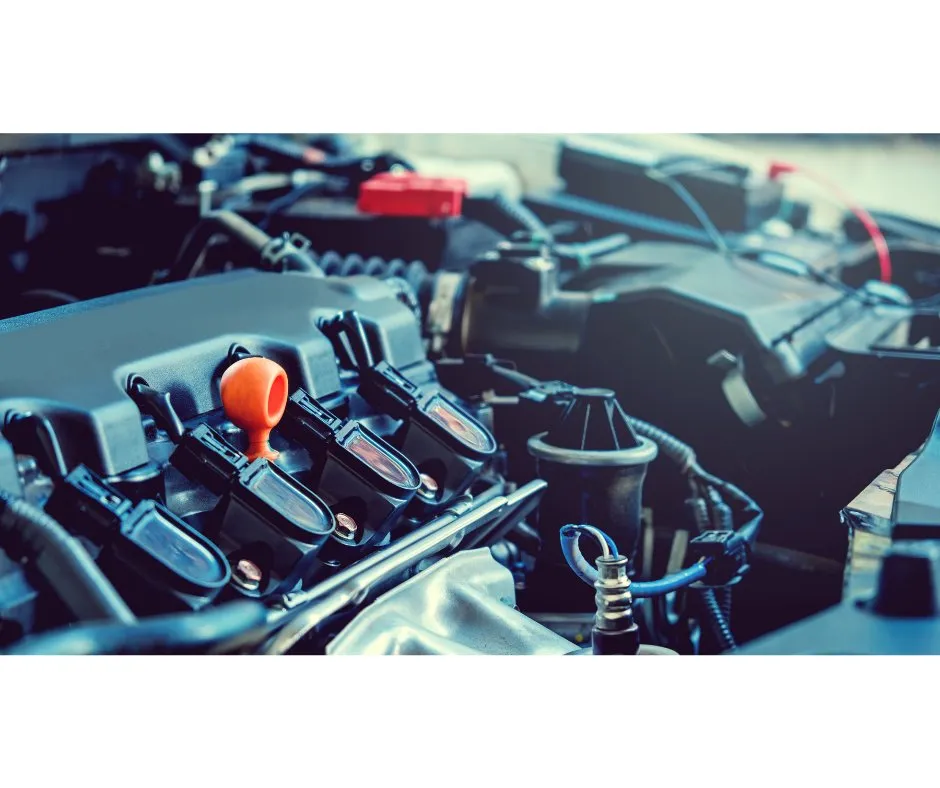 Top-rated lawn care service experts serving Macon, GA - Smilee Jack of all Trades