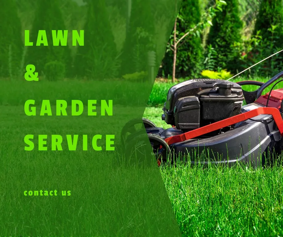 Local lawn care service experts serving Macon, GA - Smilee Jack of all Trades
