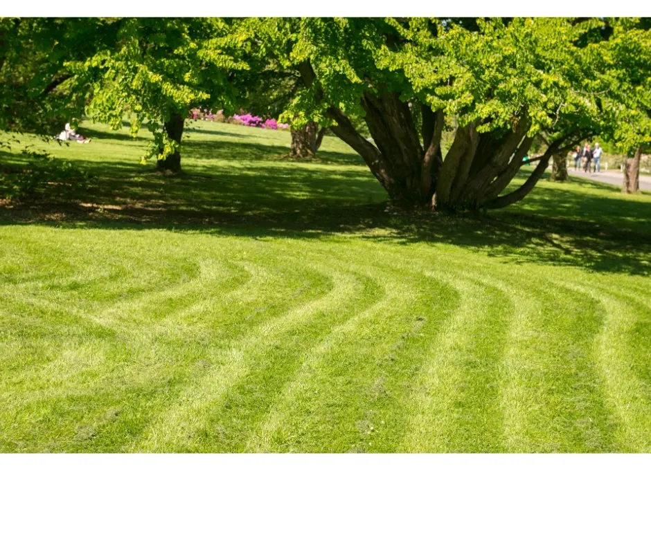 Expert garden landscaping for outdoor upgrades in Macon, GA by Smilee Jack of all Trades