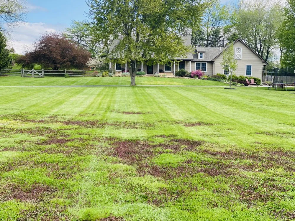 Custom landscape design for year-round maintenance across Oxford, PA - Smilenow Landscaping