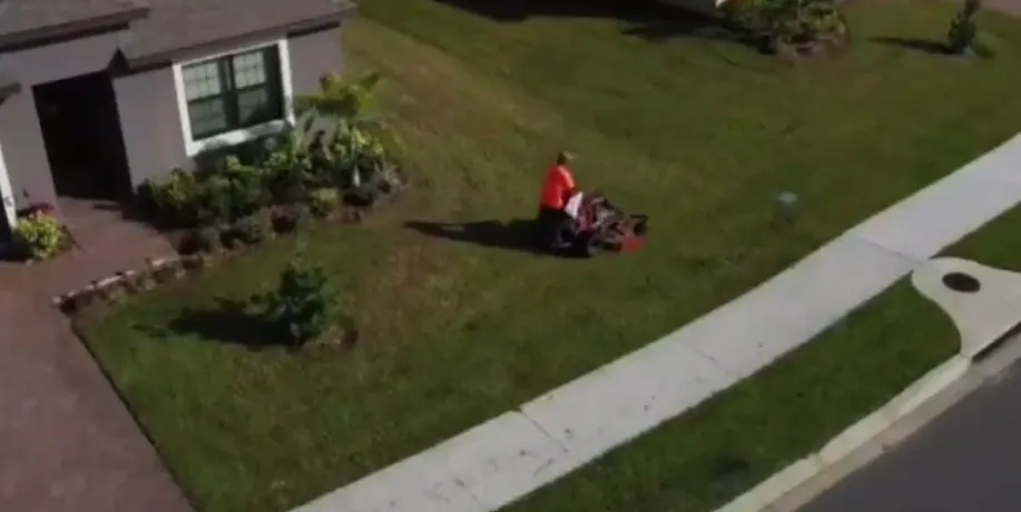 Professional yard cleanup service in Palm Bay, FL by Smiley's Lawn Service