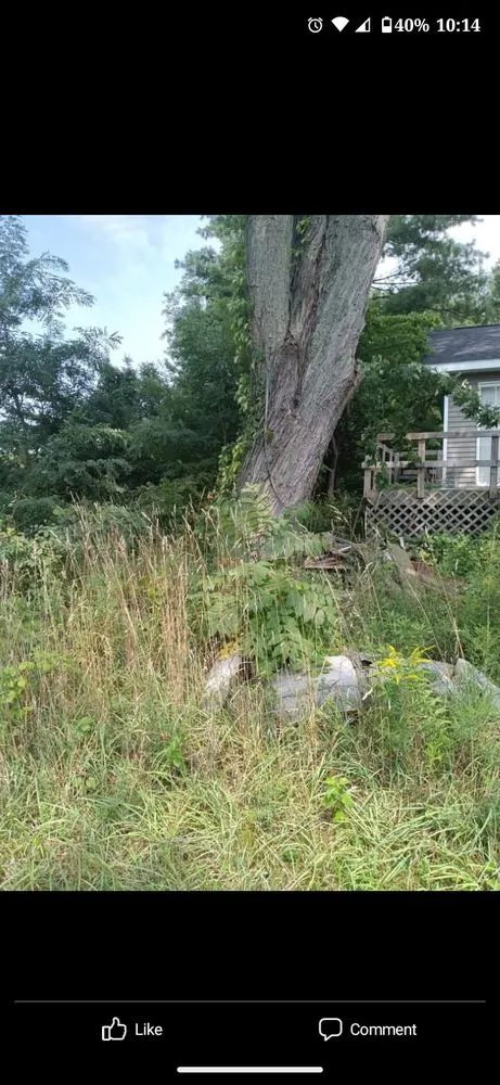 Affordable lawn care service in Mendon, MI by Smilies Lawn Care