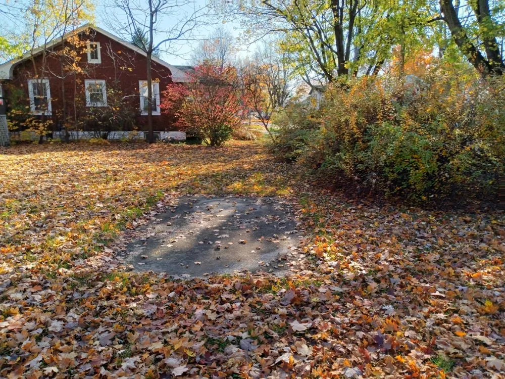 Affordable yard cleanup service experts serving Mendon, MI - Smilies Lawn Care