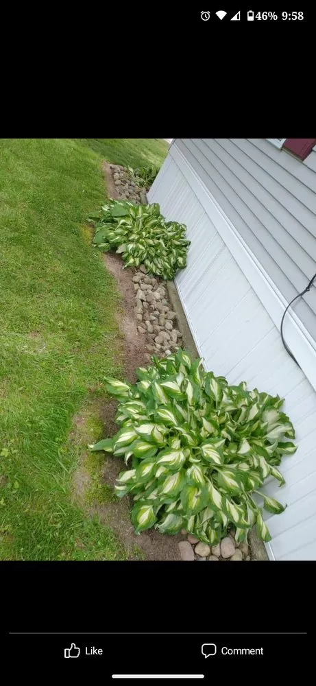 Top-rated outdoor landscaping for beautiful yards across Mendon, MI - Smilies Lawn Care