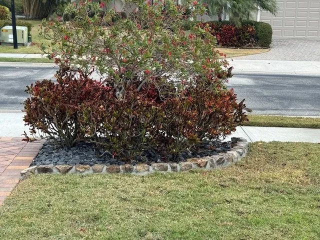 Expert landscaping services in Melbourne, FL - Smilin' Curbs