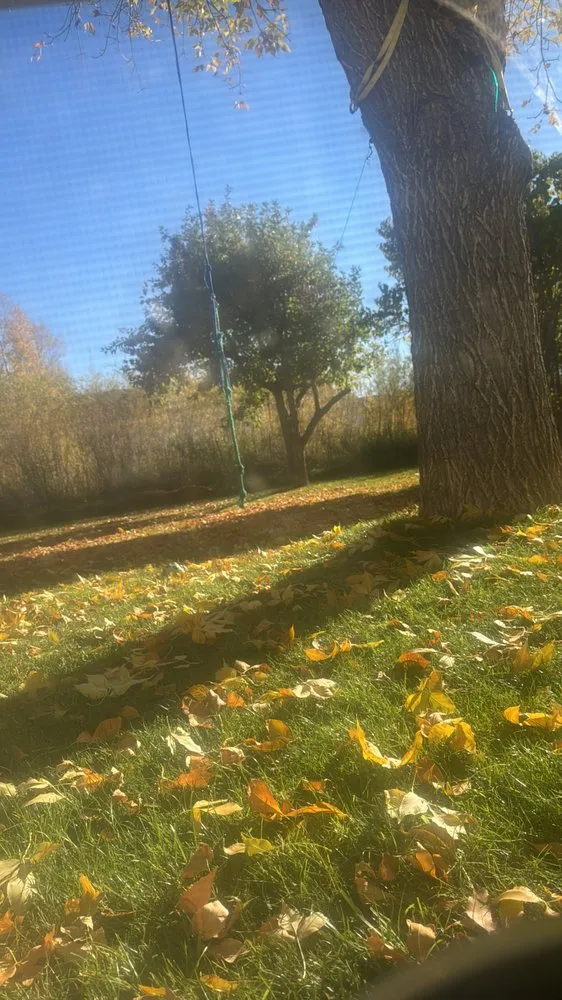 Expert landscape installation for homes in Idaho Falls, ID by Smiling Buddy