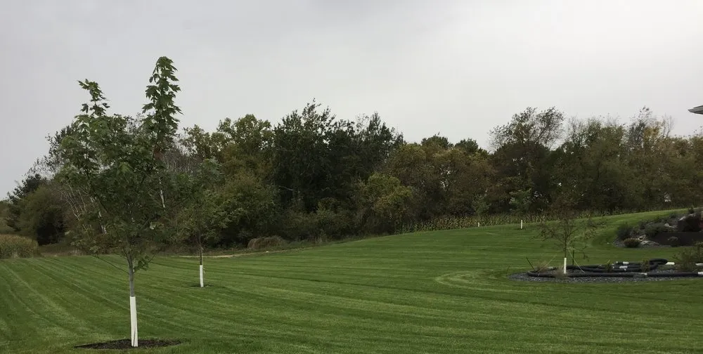 Professional yard cleanup service near you across Chippewa Falls, WI - Smiskey Lawn Care