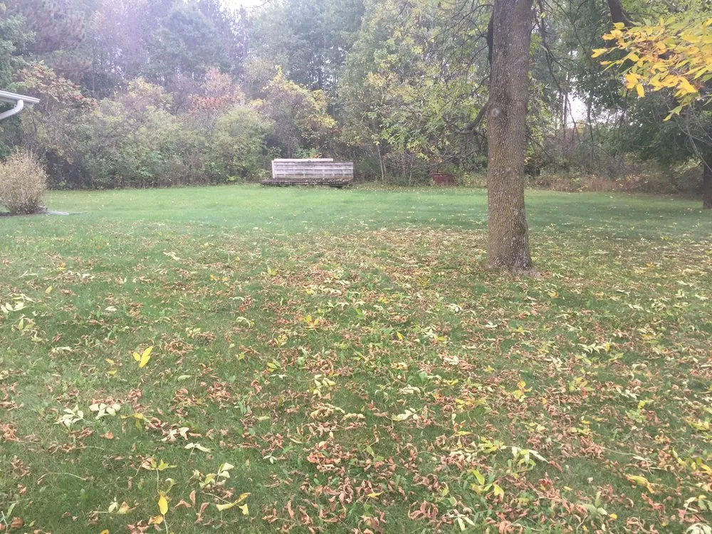 Expert landscaping services experts serving Chippewa Falls, WI - Smiskey Lawn Care