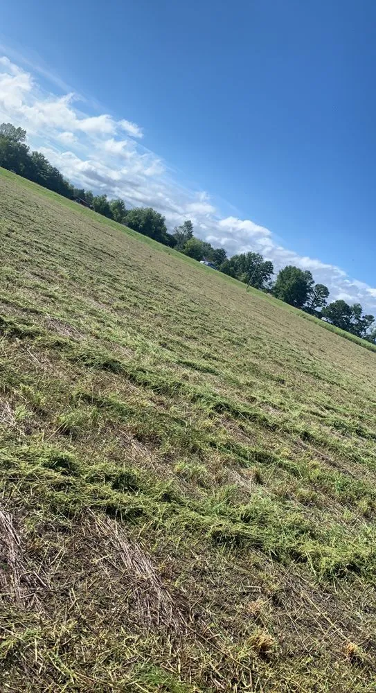 Top-rated yard maintenance in Greenville, NC - Smith & Son Bush Hogging And Lawn Care