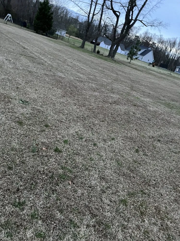 Expert residential landscaping for year-round maintenance across Greenville, NC - Smith & Son Bush Hogging And Lawn Care