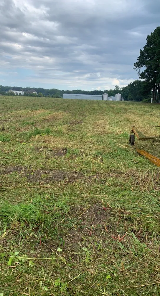 Reliable garden landscaping for year-round maintenance across Greenville, NC - Smith & Son Bush Hogging And Lawn Care