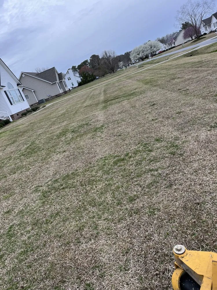 Reliable garden landscaping experts serving Greenville, NC - Smith & Son Bush Hogging And Lawn Care