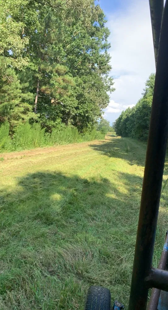 Reliable lawn mowing service for year-round maintenance across Greenville, NC - Smith & Son Bush Hogging And Lawn Care