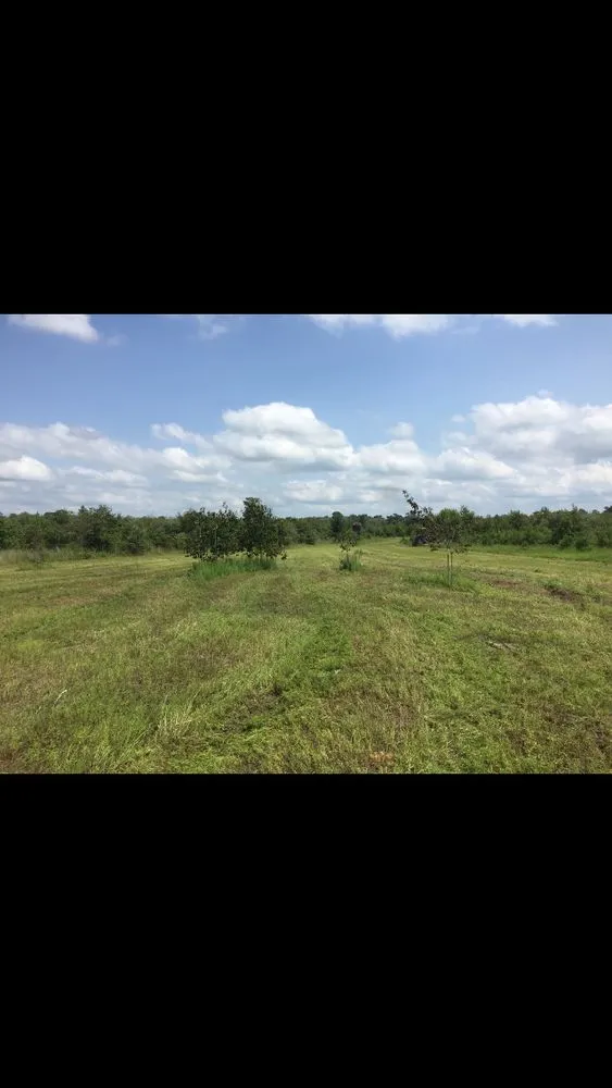 Affordable garden landscaping near you in Greenville, NC by Smith & Son Bush Hogging And Lawn Care