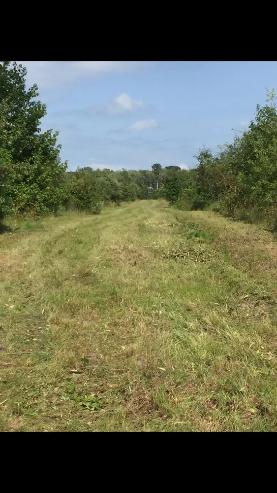 Local landscape design experts serving Greenville, NC - Smith & Son Bush Hogging And Lawn Care