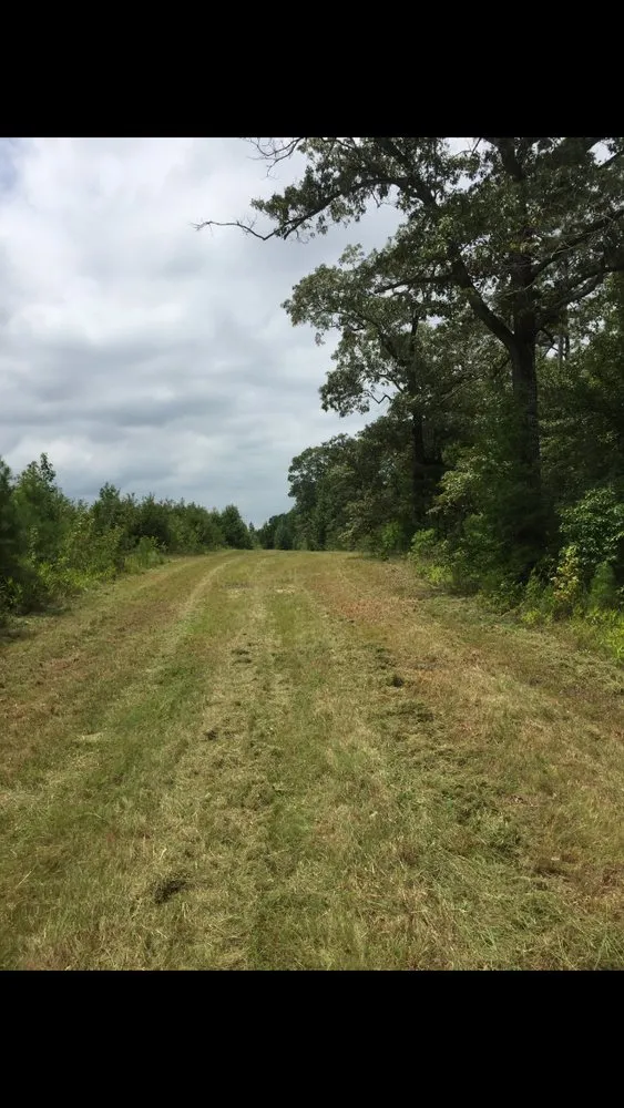 Trusted residential landscaping in Greenville, NC - Smith & Son Bush Hogging And Lawn Care