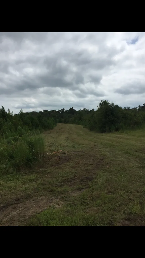 Local outdoor landscaping near you across Greenville, NC - Smith & Son Bush Hogging And Lawn Care