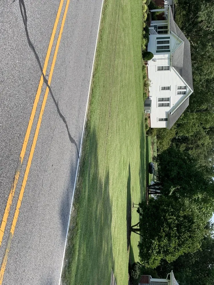 Reliable lawn care service in Greenville, NC by Smith & Son Bush Hogging And Lawn Care