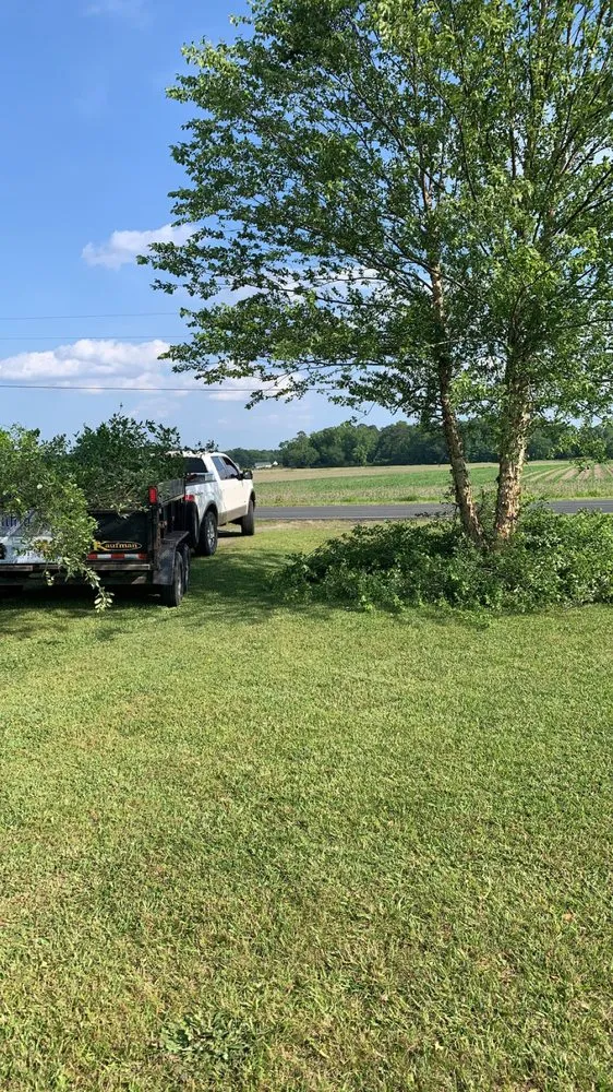 Top-rated residential landscaping experts serving Greenville, NC - Smith & Son Bush Hogging And Lawn Care