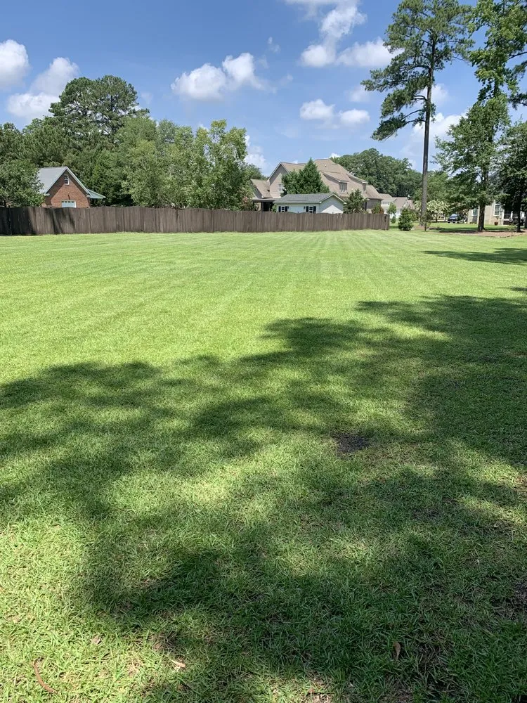 Reliable yard maintenance experts serving Greenville, NC - Smith & Son Bush Hogging And Lawn Care