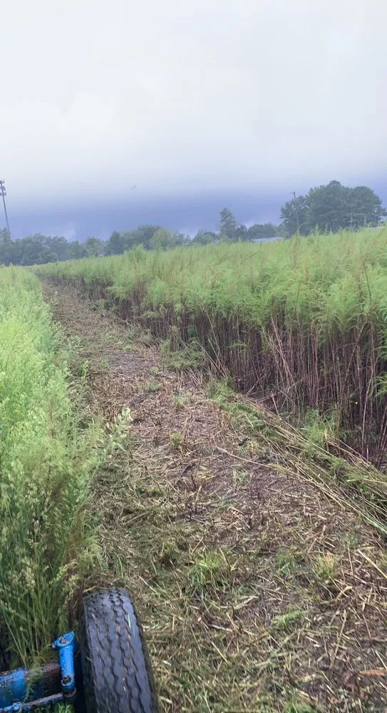 Professional residential landscaping for residential properties across Greenville, NC - Smith & Son Bush Hogging And Lawn Care