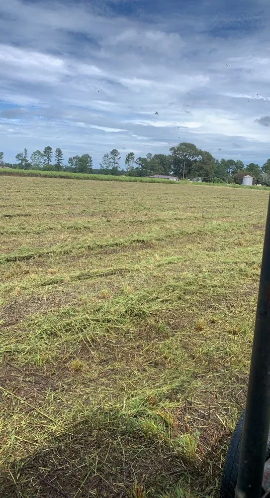 Reliable residential landscaping for outdoor upgrades across Greenville, NC - Smith & Son Bush Hogging And Lawn Care