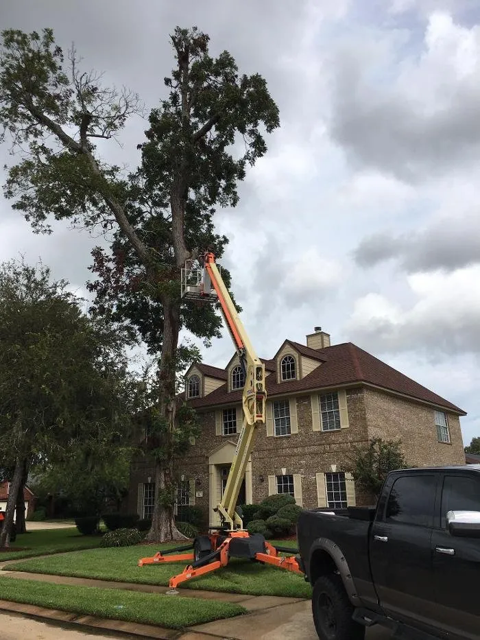 Top-rated lawn mowing service in Brazoria, TX by Smith & Son Property Maintenance and Lawn Care