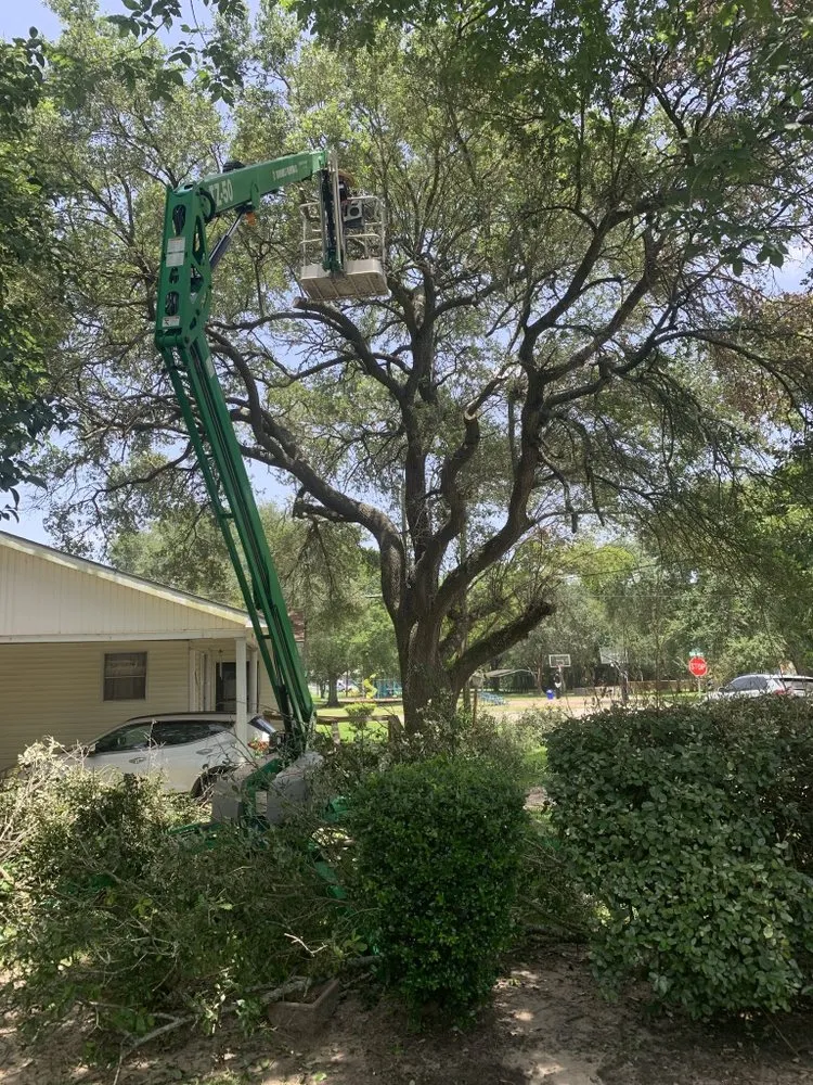 Custom garden landscaping in Brazoria, TX by Smith & Son Property Maintenance and Lawn Care