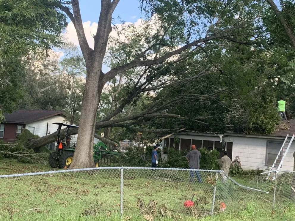 Local landscape installation in Brazoria, TX - Smith & Son Property Maintenance and Lawn Care