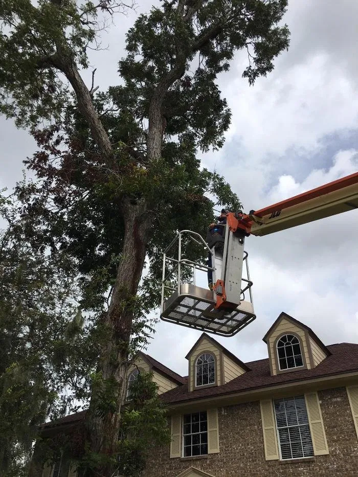 Affordable residential landscaping for residential properties across Brazoria, TX - Smith & Son Property Maintenance and Lawn Care