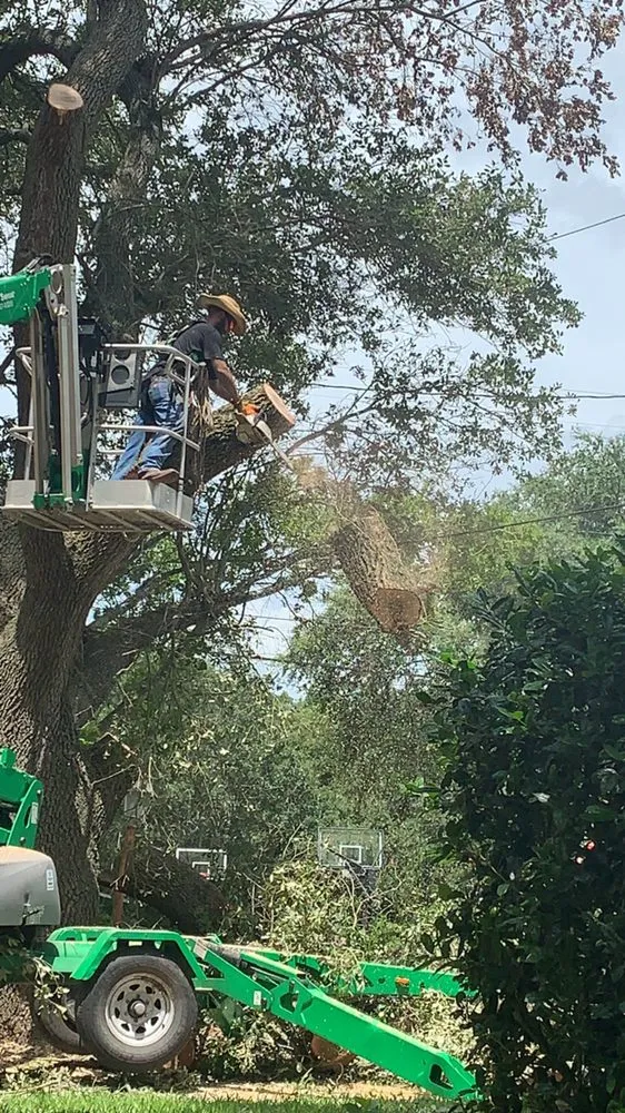 Local yard cleanup service experts serving Brazoria, TX - Smith & Son Property Maintenance and Lawn Care