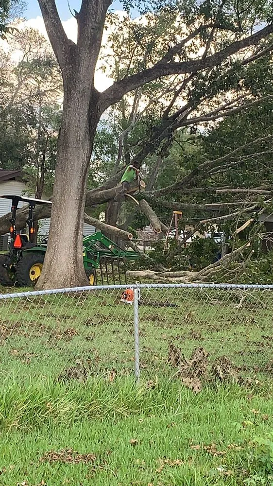Affordable yard cleanup service experts serving Brazoria, TX - Smith & Son Property Maintenance and Lawn Care