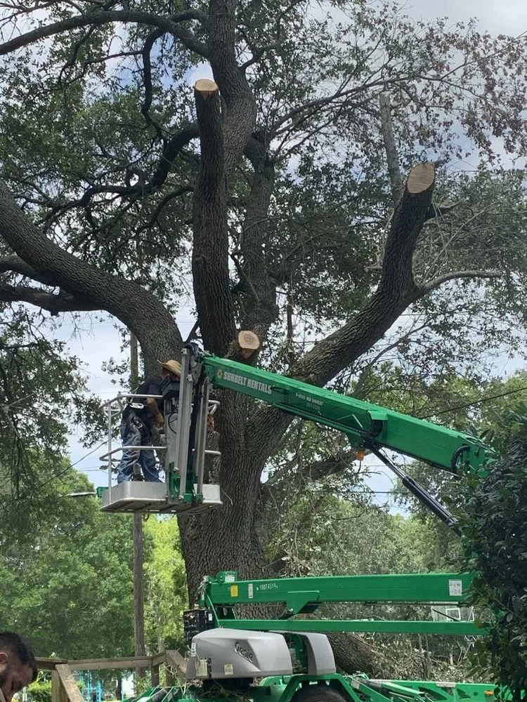 Reliable garden landscaping for outdoor upgrades in Brazoria, TX by Smith & Son Property Maintenance and Lawn Care