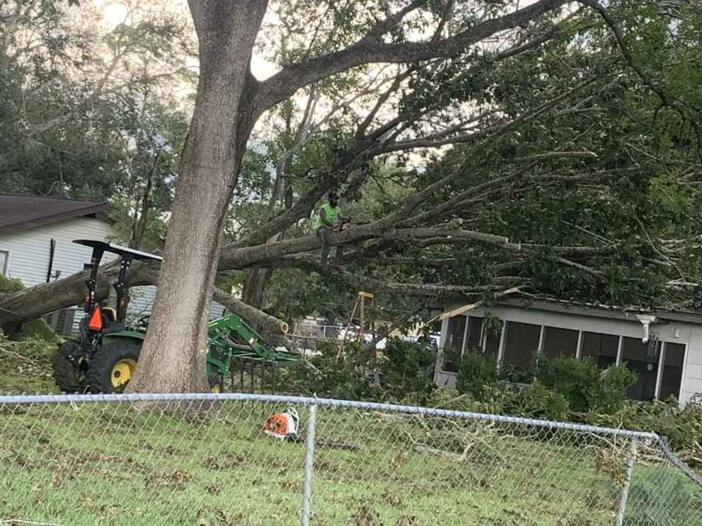 Reliable yard cleanup service in Brazoria, TX - Smith & Son Property Maintenance and Lawn Care