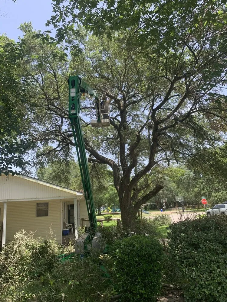Top-rated landscape installation in Brazoria, TX - Smith & Son Property Maintenance and Lawn Care