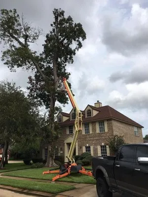 Smith & Son Property Maintenance and Lawn Care Logo