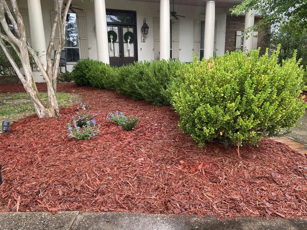 Top-rated landscape design near you in Covington, LA by Smith & Sons