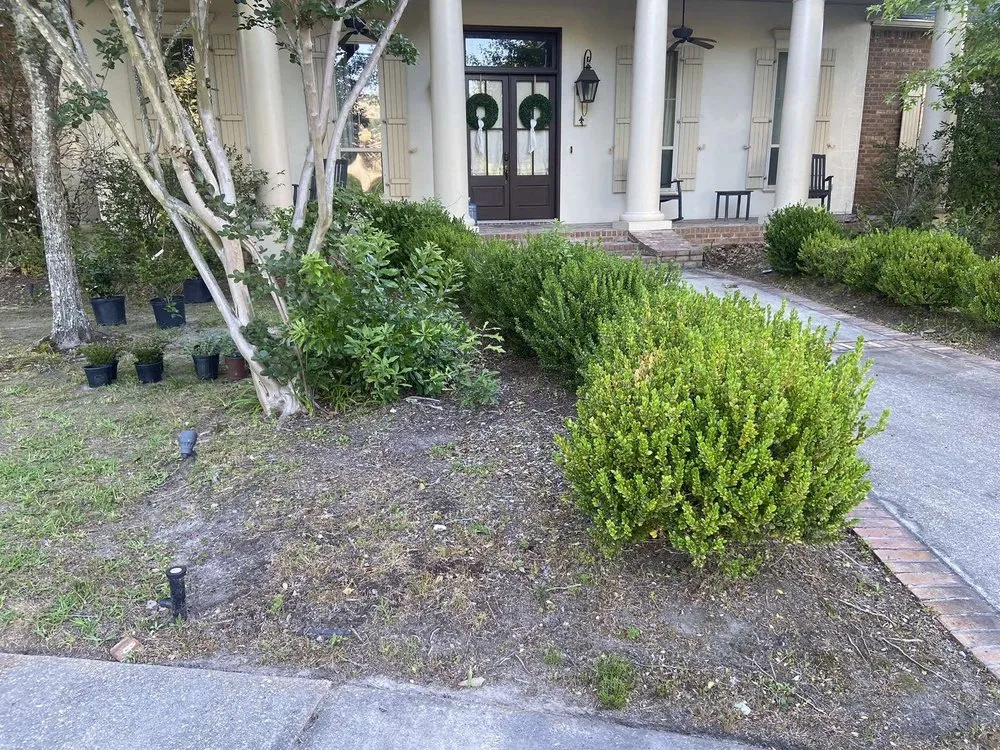 Affordable lawn care service for residential properties across Covington, LA - Smith & Sons