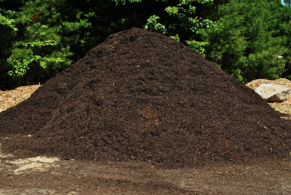 Custom yard maintenance for year-round maintenance across Marshfield, MA - Smith & Sons