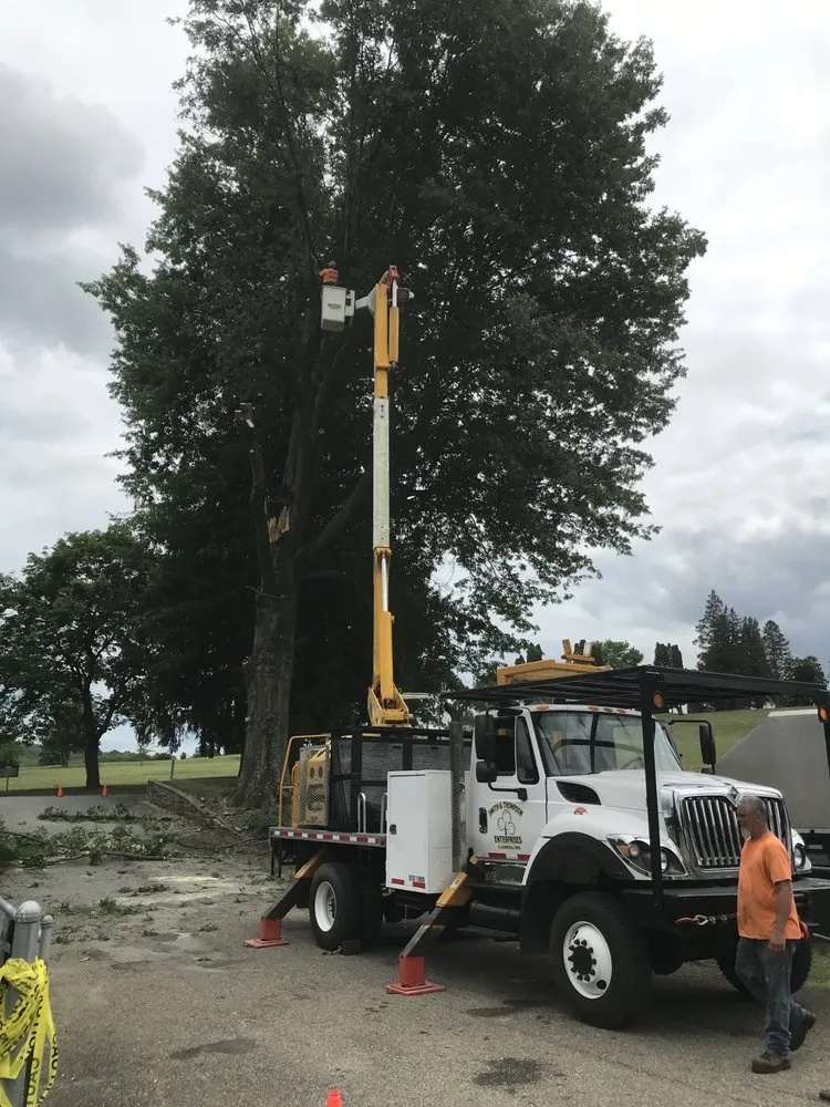 Professional yard cleanup service in East Liverpool, OH by Smith & Thompson Enterprise