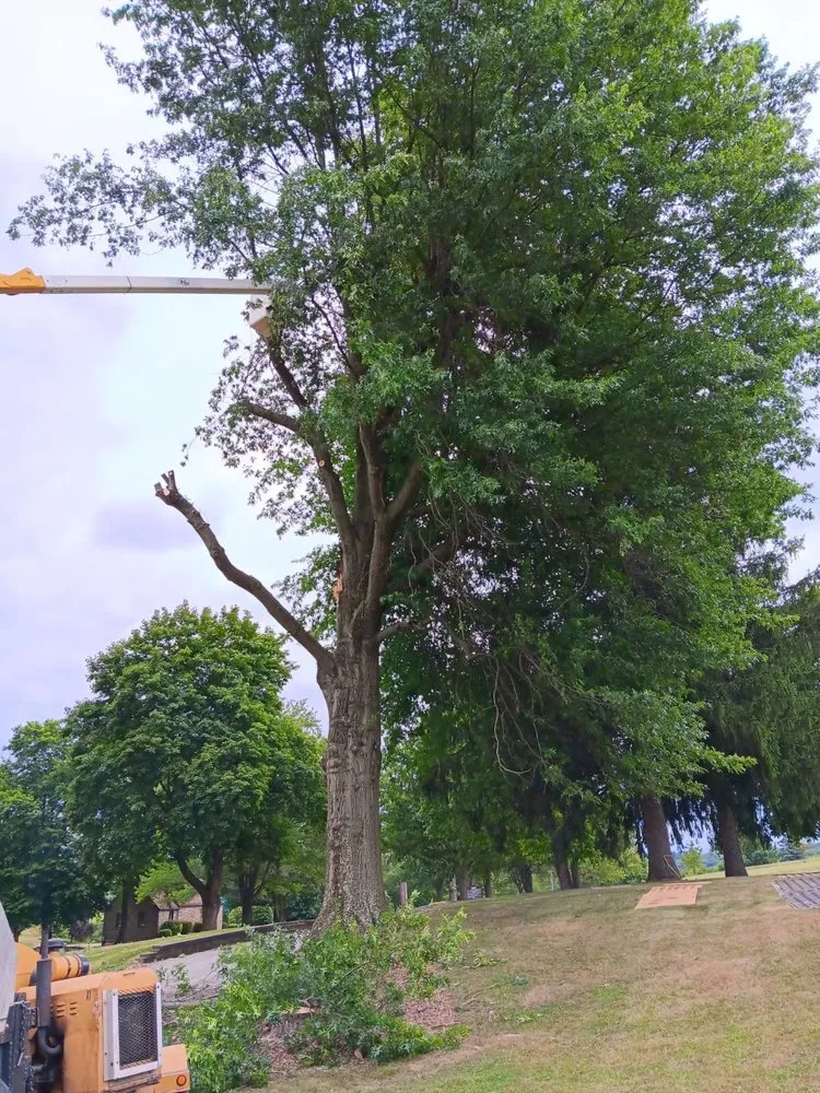 Custom yard maintenance experts serving East Liverpool, OH - Smith & Thompson Enterprise