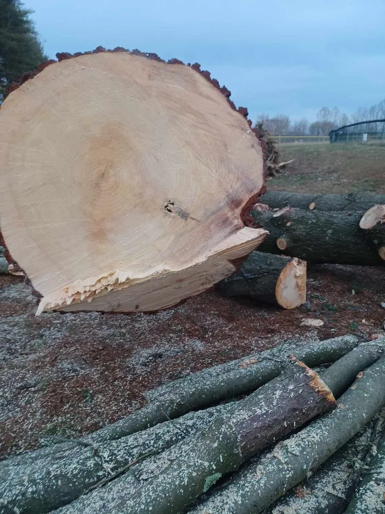 Expert yard cleanup service in East Liverpool, OH by Smith & Thompson Enterprise