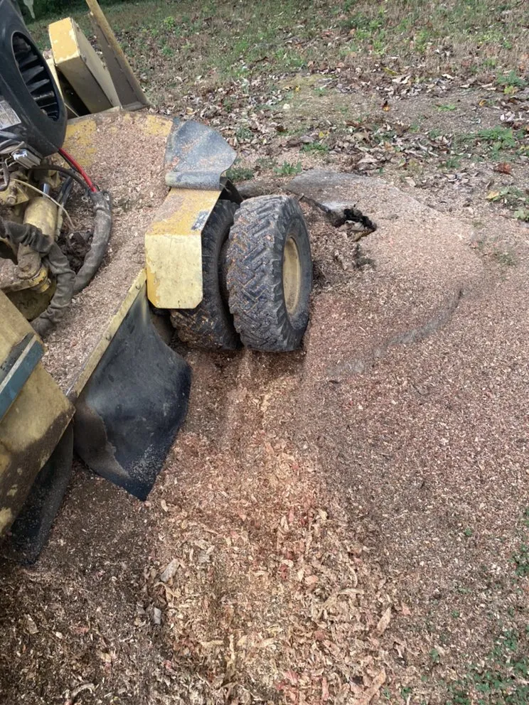 Top-rated garden landscaping in Milton, WV - Smith 5