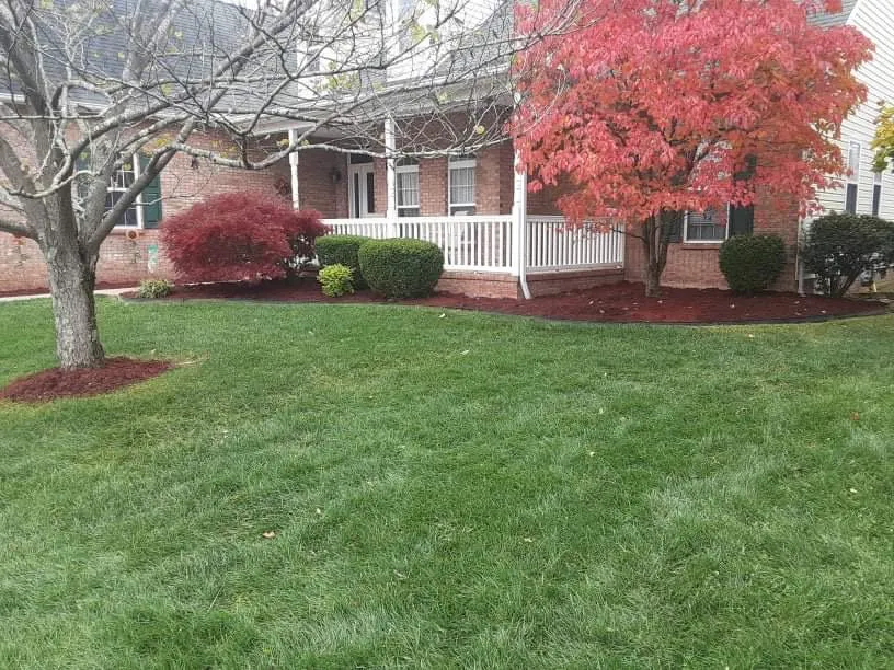 Top-rated landscaping services experts serving Milton, WV - Smith 5