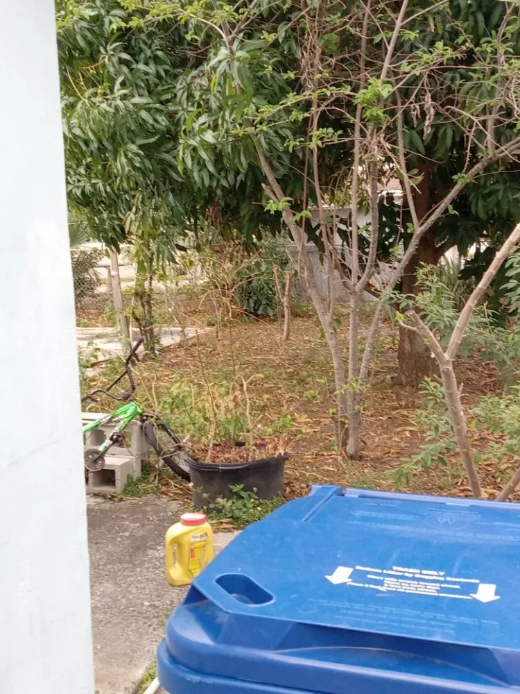 Trusted landscape design experts serving Riviera Beach, FL - Smith Advance Landscape